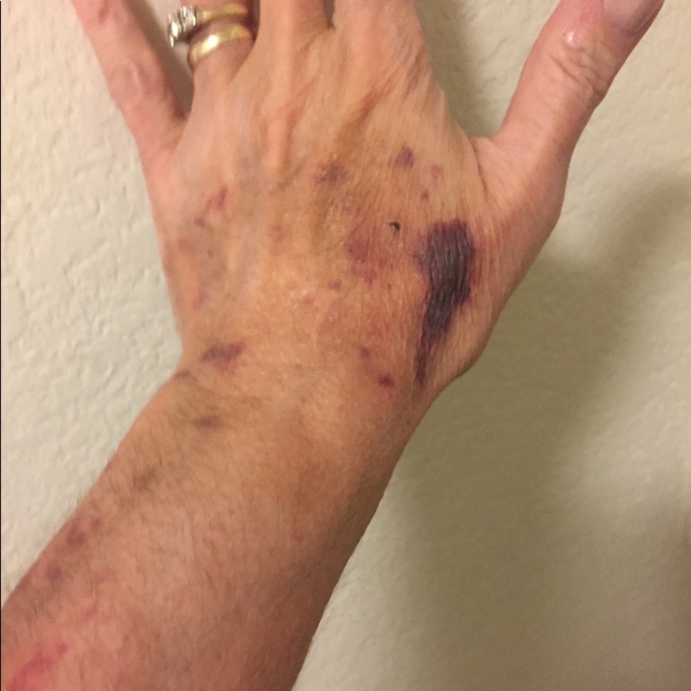 Westmore beauty body coverage